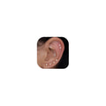 10 Pairs Small Stud Earrings for Women Hypoallergenic Multiple Piercings | Clear Sparkle, Lightweight Comfort for Everyday Wear, Second Third Hole Styling, Helix Ready, Easy to Stack, Minimal Look